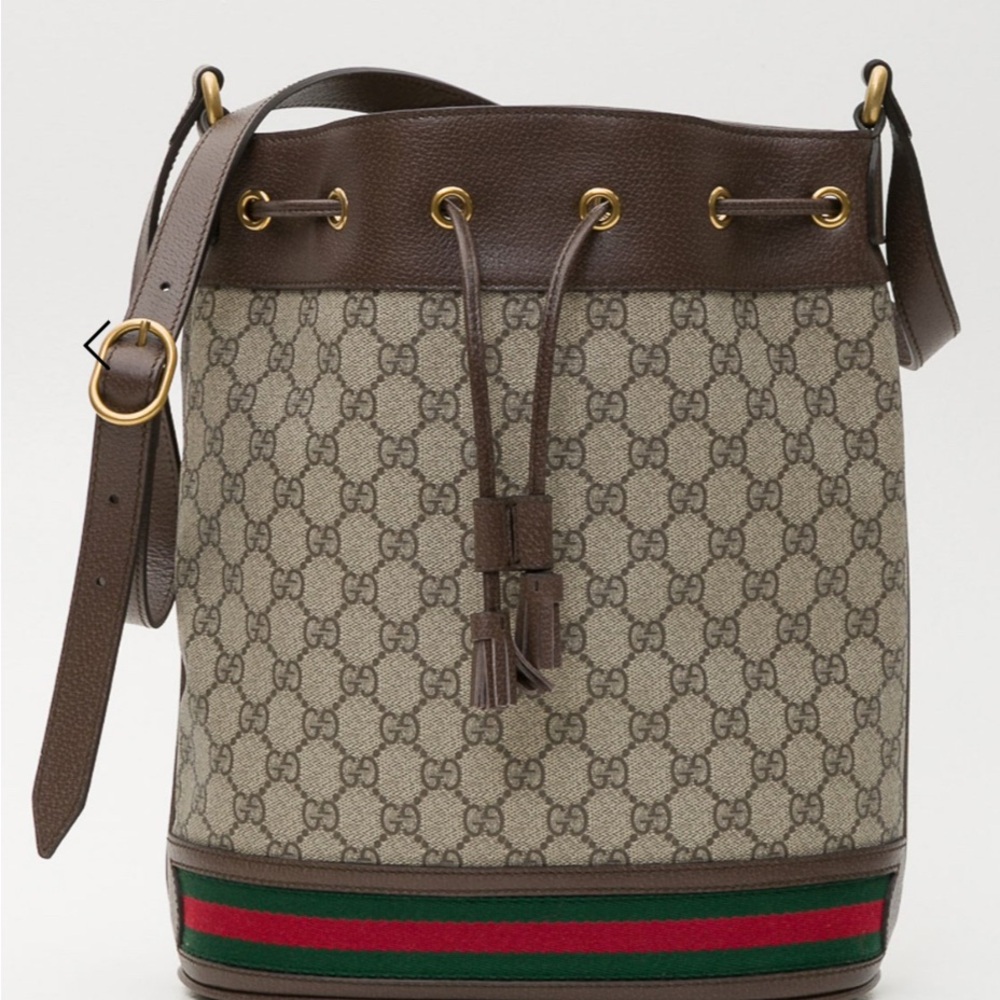 Gucci Brown and Beige Bucket Bag